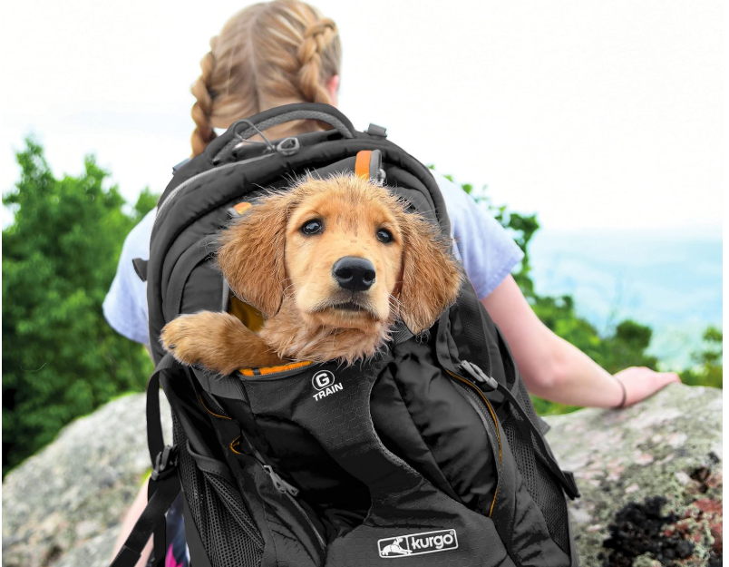 Kurgo G-Train - Dog Carrier Backpack for Small Pets - Cat & Dog Backpack for Hiking, Camping or Travel - Chest Straps & Hip Belt - Reflective - Two Water Bottle Sleeves - Waterproof Bottom (Black)