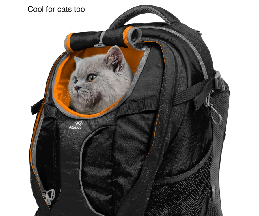 Kurgo G-Train - Dog Carrier Backpack for Small Pets - Cat & Dog Backpack for Hiking, Camping or Travel - Chest Straps & Hip Belt - Reflective - Two Water Bottle Sleeves - Waterproof Bottom (Black)